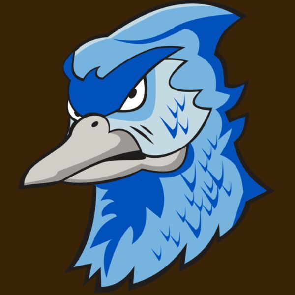 BLUEJAY HD0501 RQC Thumbnail