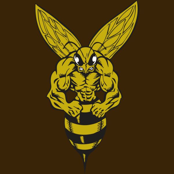 BAW BEE 06 RC Thumbnail