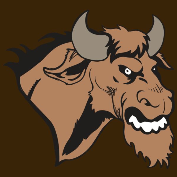 AR5 BULL 09 RQC Thumbnail