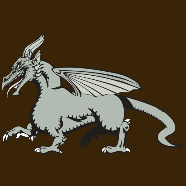 BAW DRAGON 20 RC Thumbnail