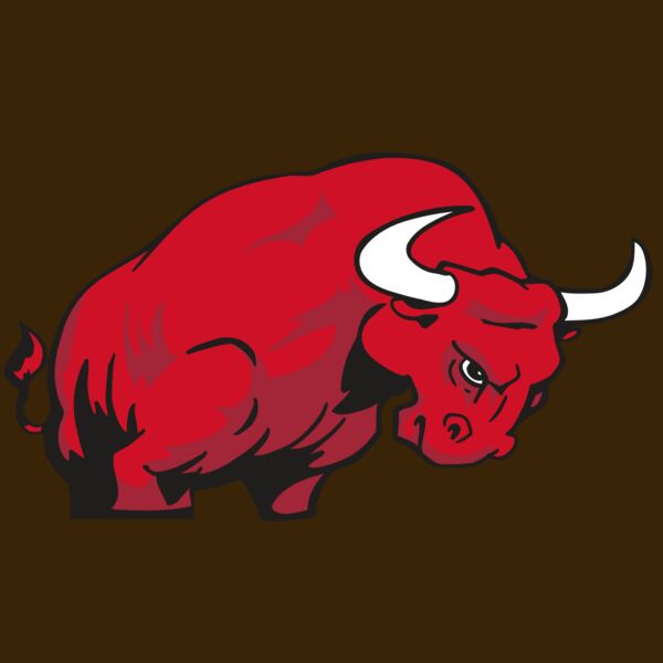 AR BULL 12 RC Thumbnail