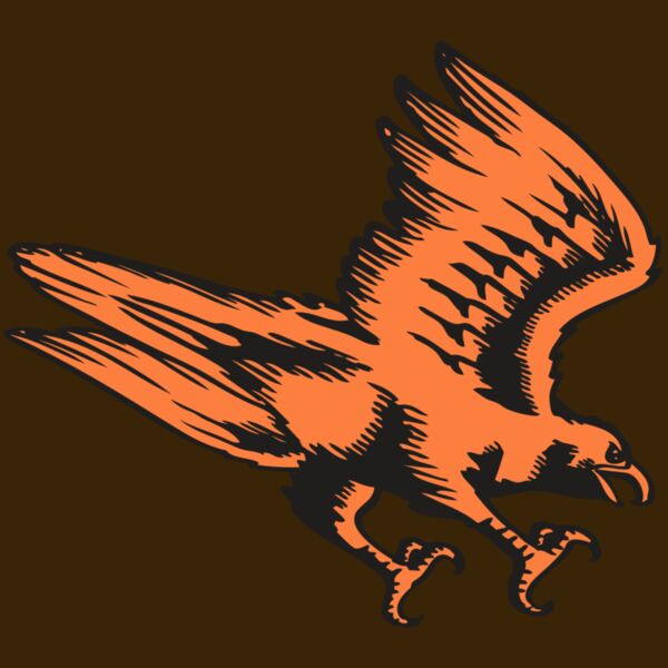 BAW HWK FLCN 04 RC Thumbnail