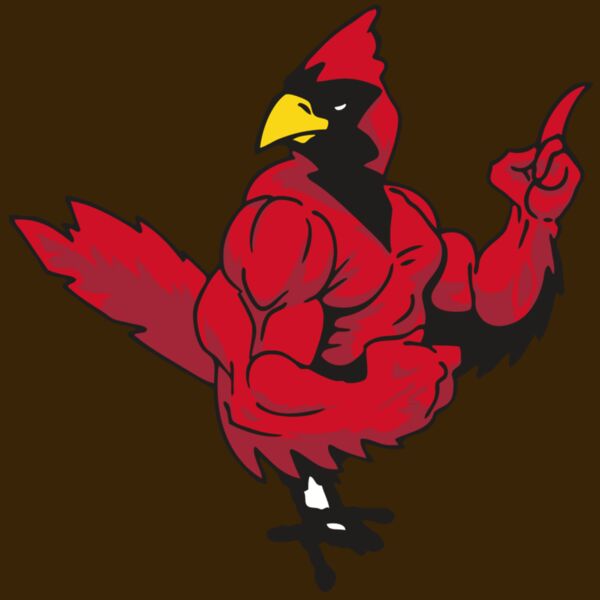 AR CARDINAL 27 RC Thumbnail