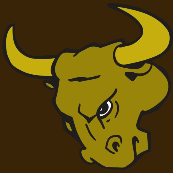 AR BULL 26 RC Thumbnail