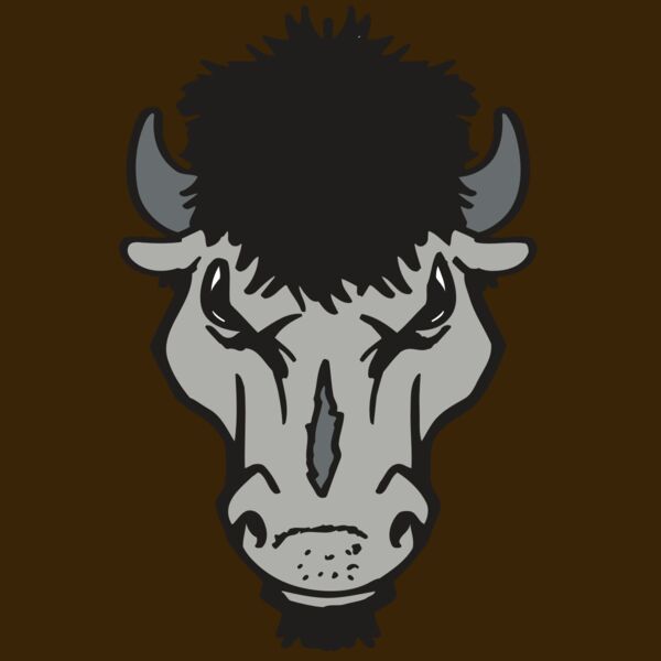 AR BUFFALO 15 RC Thumbnail