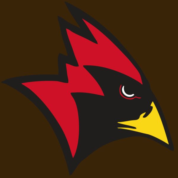 AR CARDINAL 23 RC Thumbnail