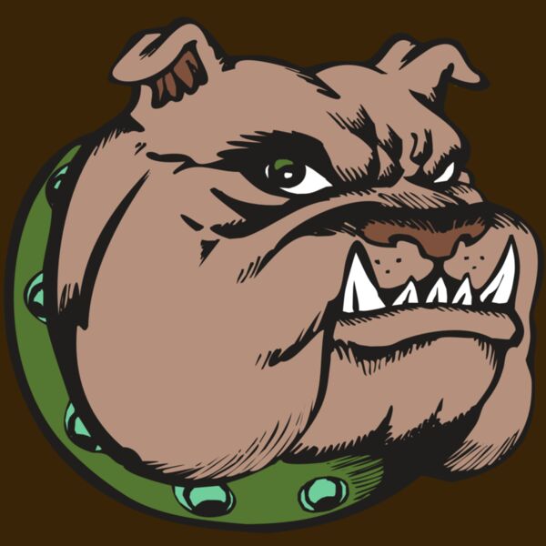 BAW BULLDOG 14 RC Thumbnail