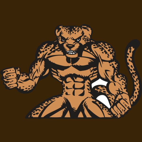 BAW CHEETAH 07 RC Thumbnail