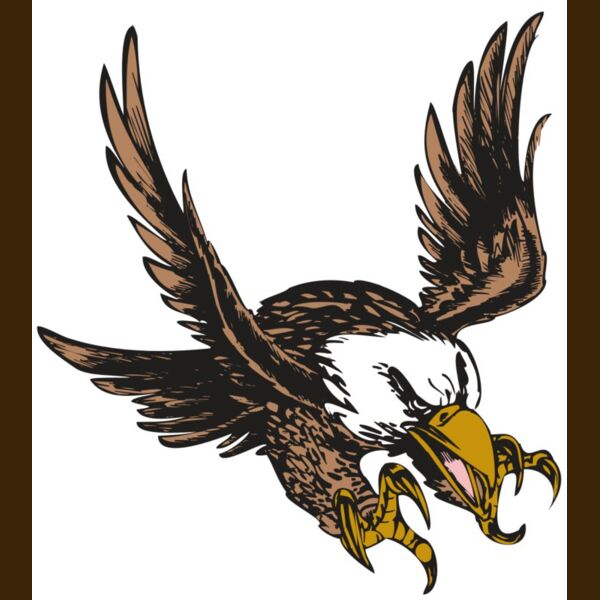 BAW EAG 05 RC Thumbnail