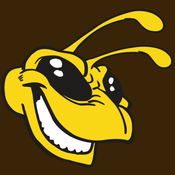 AR5 BEE 24 RQC Thumbnail