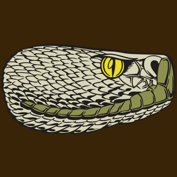 BAW SNAKE 03 RC Thumbnail