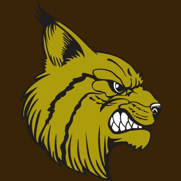 BAW BOBCAT 16 RC Thumbnail