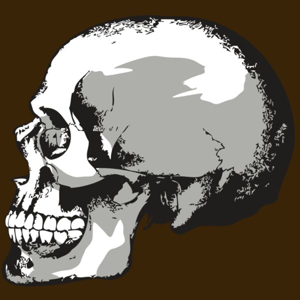 AR24 SKULL 02 RQC Thumbnail