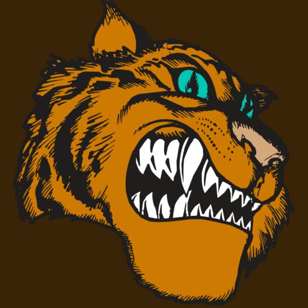 BAW TIGER 11 RC Thumbnail