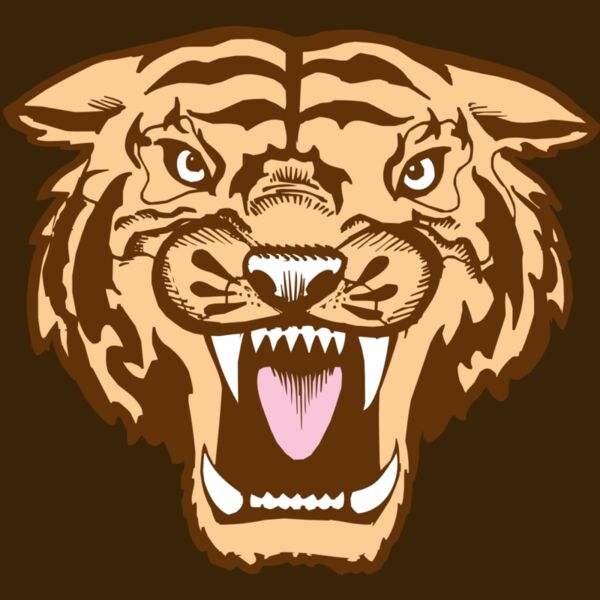 BAW TIGER 05 RC Thumbnail