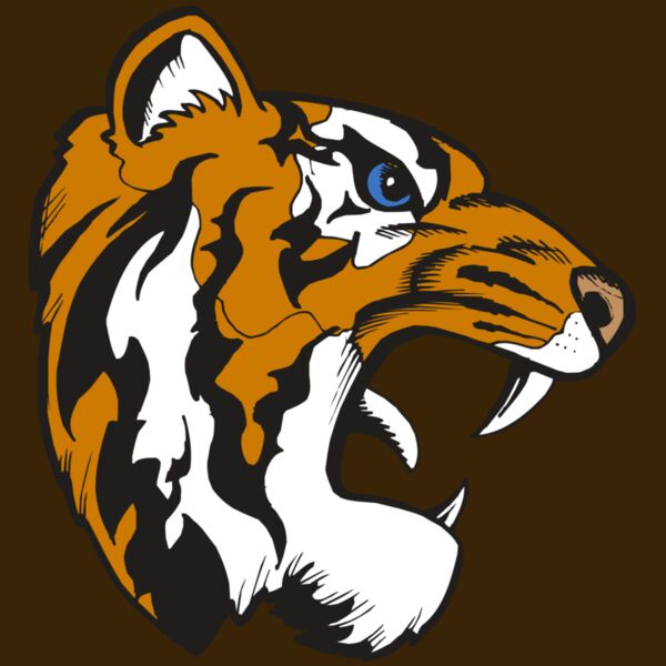 BAW TIGER 08 RC Thumbnail