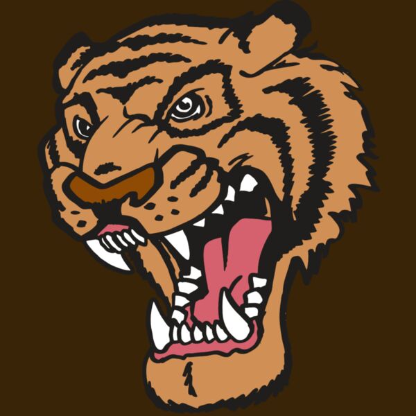 AR TIGER 12 RC Thumbnail