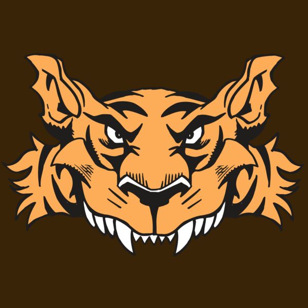 AR5 Tiger 07 RQC Thumbnail