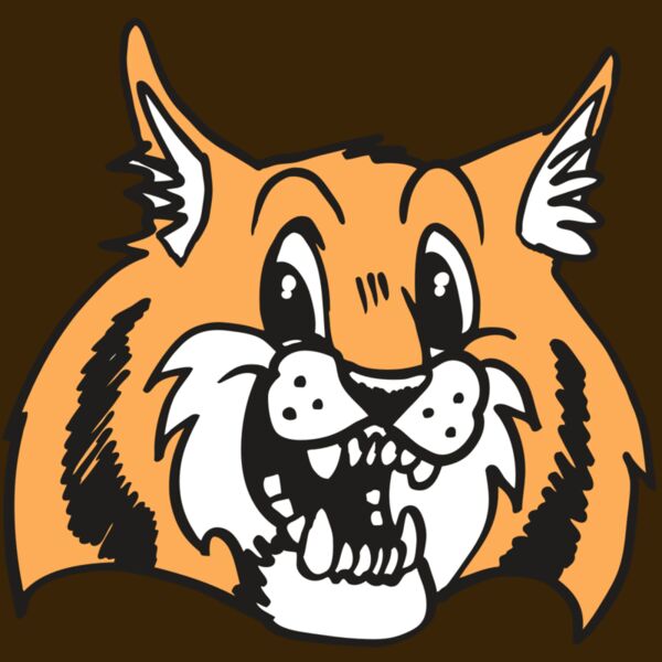 AR WILDCAT 13 RC Thumbnail