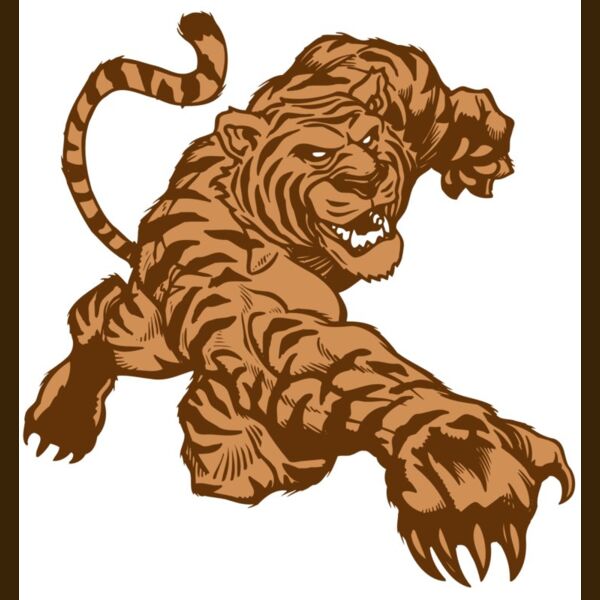 AR TIGER 56 RC Thumbnail