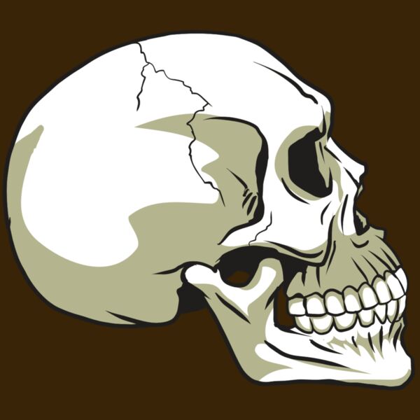 AR24 SKULL 12 RQC Thumbnail