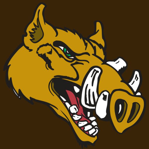 AR RAZORBACK 17 RC Thumbnail