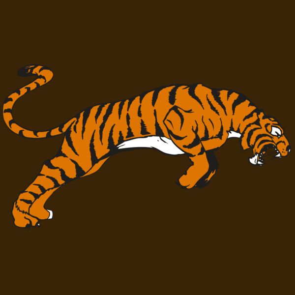 AR TIGER 79 RC Thumbnail