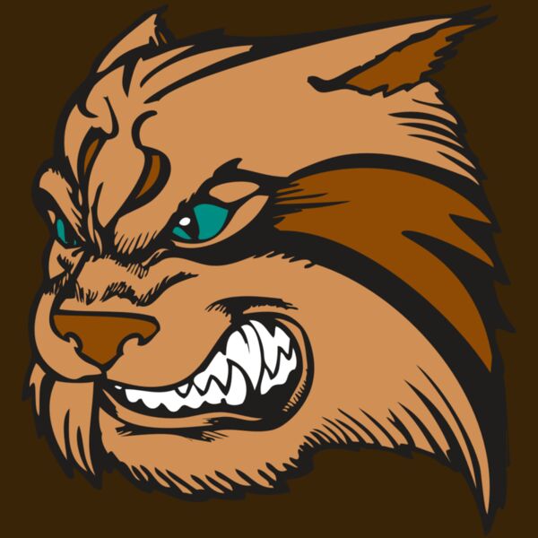 BAW WILDCAT 05 RC Thumbnail