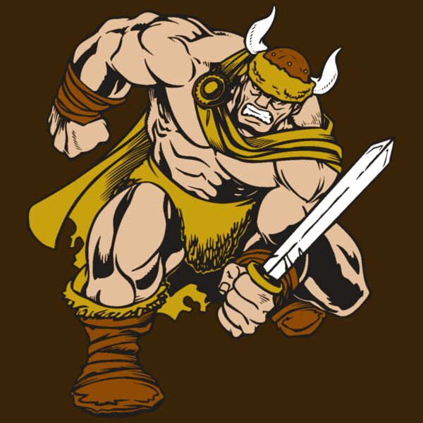 AR VIKING 35 RC Thumbnail