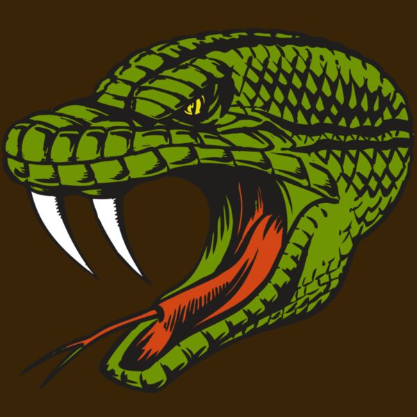 BAW SNAKE 14 RC Thumbnail