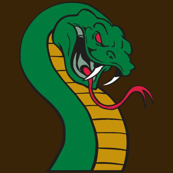 AR SNAKE 12 RC Thumbnail