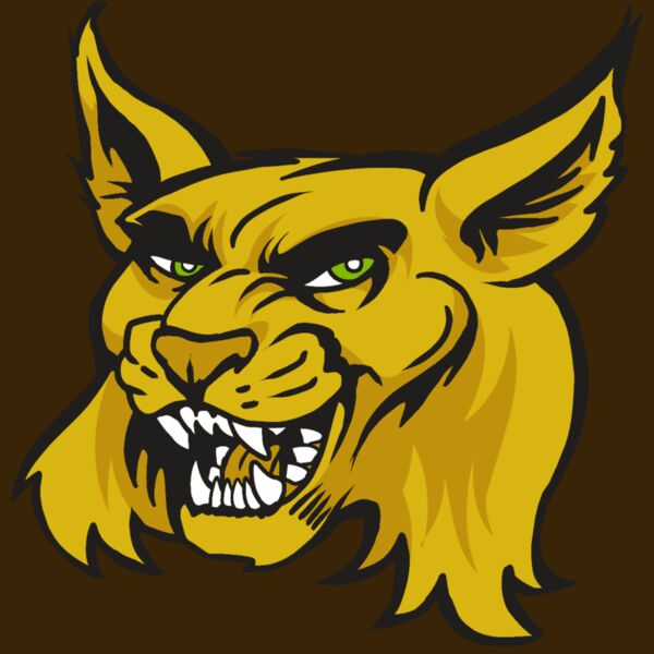 AR30 WILDCAT 03 RQC Thumbnail