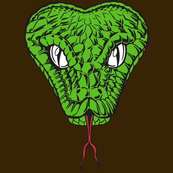 BAW SNAKE 08 RC Thumbnail