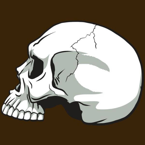 AR24 SKULL 11 RQC Thumbnail