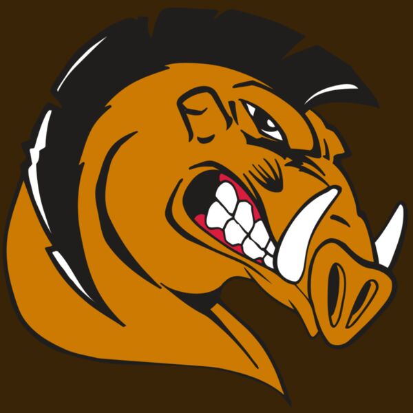 AR RAZORBACK 19 RC Thumbnail