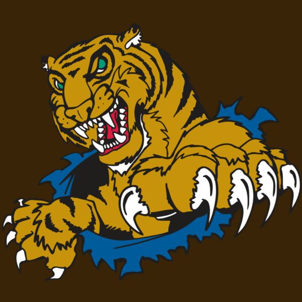 AR TIGER 69 RC Thumbnail