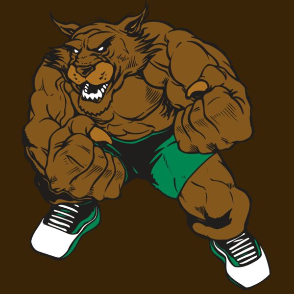 AR WILDCAT 45 RC Thumbnail