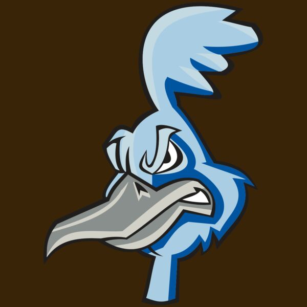 ROADRUNNER HD0501 RQC Thumbnail