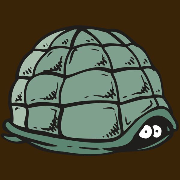 AR5 Turtle 10 RQC Thumbnail