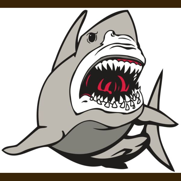 AR5 Shark 07 RQC Thumbnail