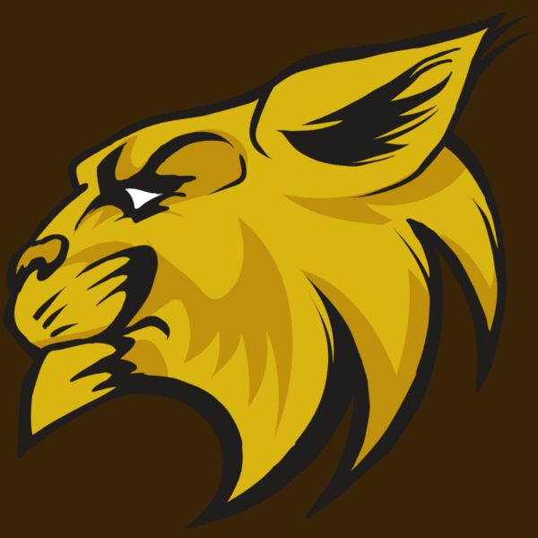 AR30 WILDCAT 02 RQC Thumbnail