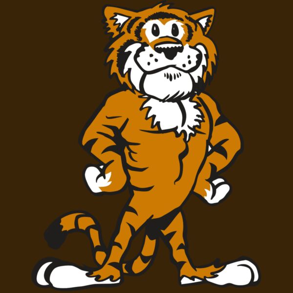 AR TIGER 91 RC Thumbnail