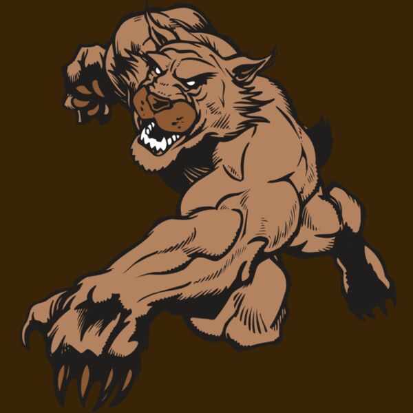 AR WILDCAT 47 RC Thumbnail