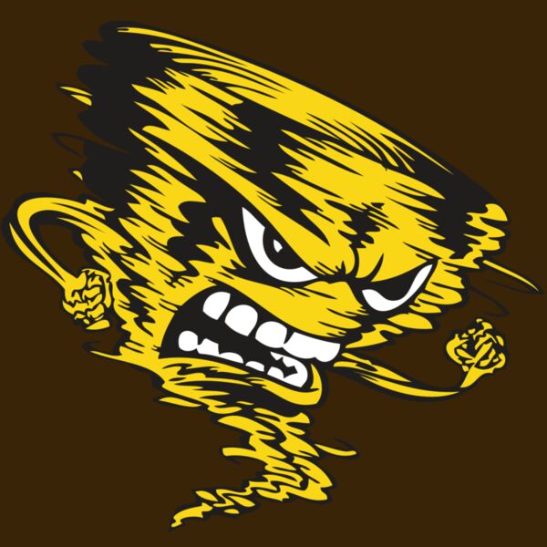 BAW STORM 08 RC Thumbnail