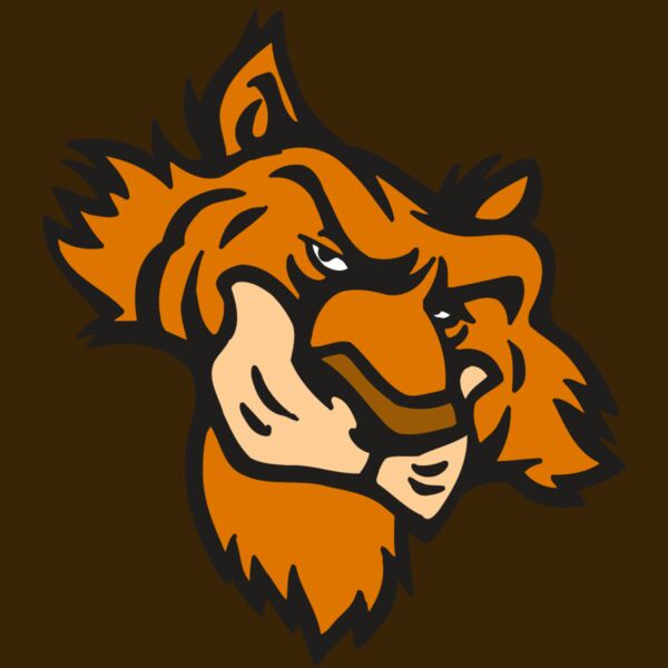 AR5 Tiger 16 RQC Thumbnail