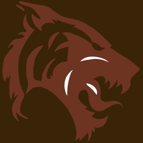 AR5 TIGER 06 RQC Thumbnail