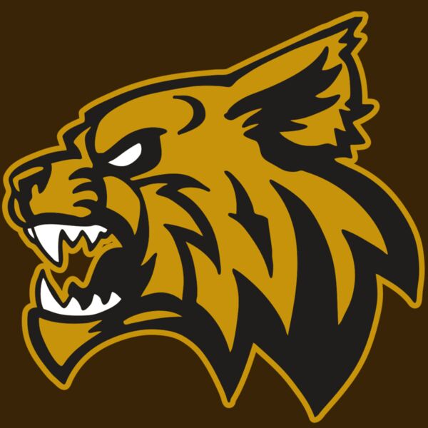 AR WILDCAT 16 RC Thumbnail