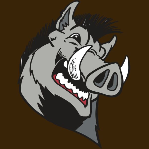 AR RAZORBACK 15 RC Thumbnail