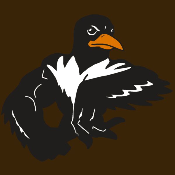 AR ORIOLE 22 RC Thumbnail