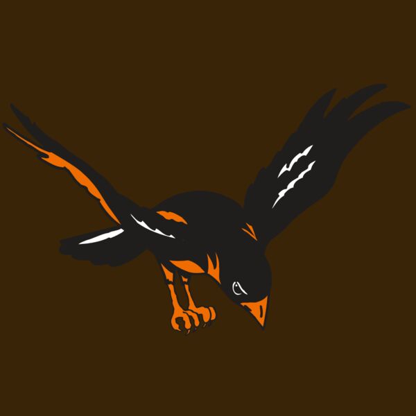 AR ORIOLE 16 RC Thumbnail